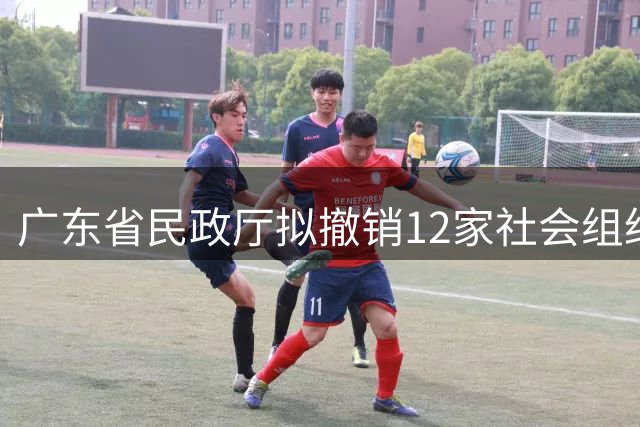 广东省民政厅拟撤销12家社会组织登记